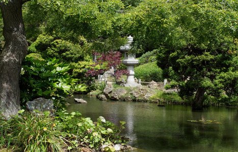 Peace Lantern, Japanese Tea Garden, Golden Gate Park, San Francisco, California