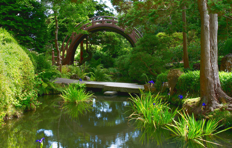 Moon Bridge, Japanese Tea Garden, Golden Gate Park, San Francisco, California