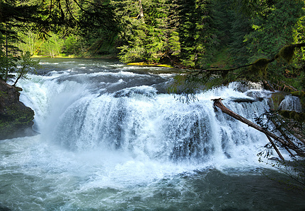 Lower Lewis River Falls, Lower Lewis River