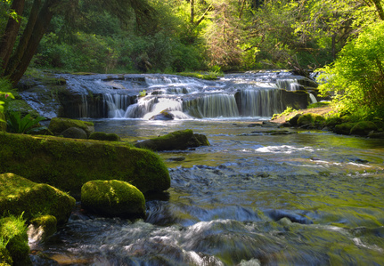 Sweet Creek, Oregon waterfalls, Oregon cascade
