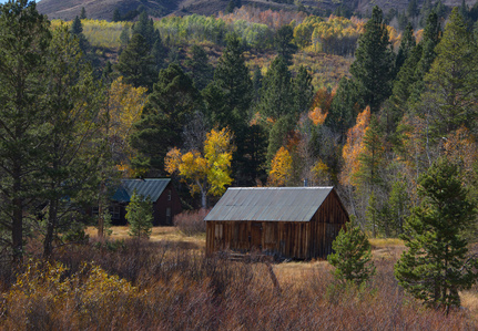 Hope Valley California settlers cabin, fall colors, aspens
