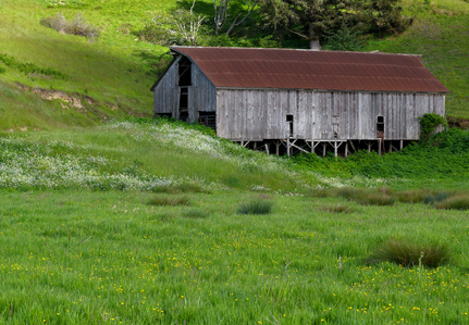 Ferndale California cattle barn