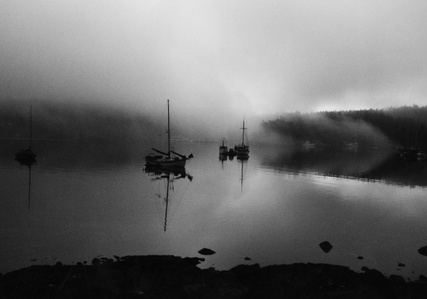 Misty Harbor morning fog, Friday Harbor, WA