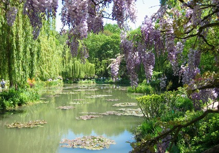 Giverny garden, water lilies, France gardens, Giverny lily pond, Monet gardens