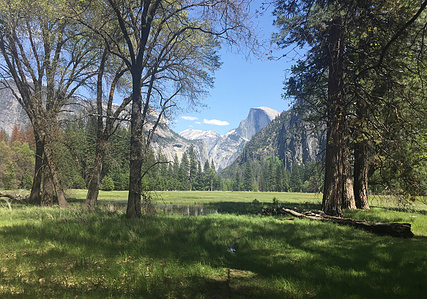 Half Dome, Yosemite National Park