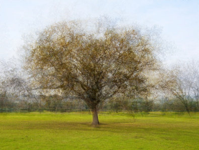 Pep Vantosa style image. fall oak tree