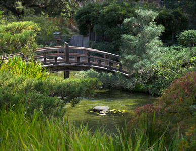 Hakone Japanese Garden foot bridge, soribashi