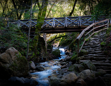 Uvas County Park, Santa Clara County Parks