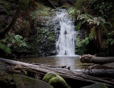 Tiptoe Falls, Portola Redwoods State Park, California, waterfall