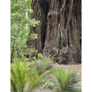 Redwood Trunk Oil Brush
