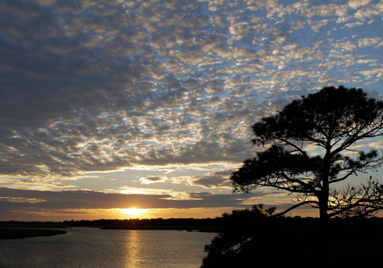 sunset foley beach, james island, bowen island seafood restaurant SC, South Carolina coast