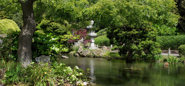 Peace Lantern, Japanese Tea Garden, Golden Gate Park, San Francisco, California