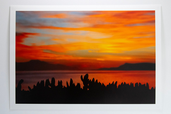 Sunrise Over Skunk Point
16
