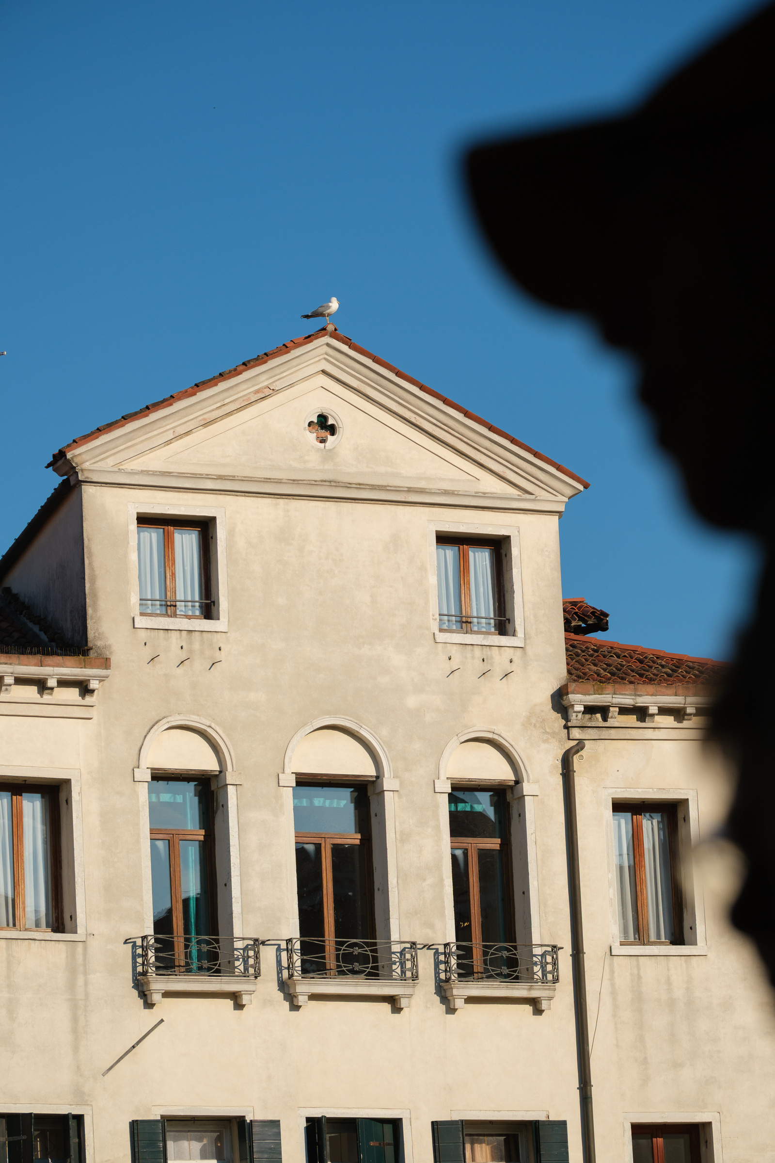 silhouette of a man with a building facade and seagull in backround, Venice, Italy