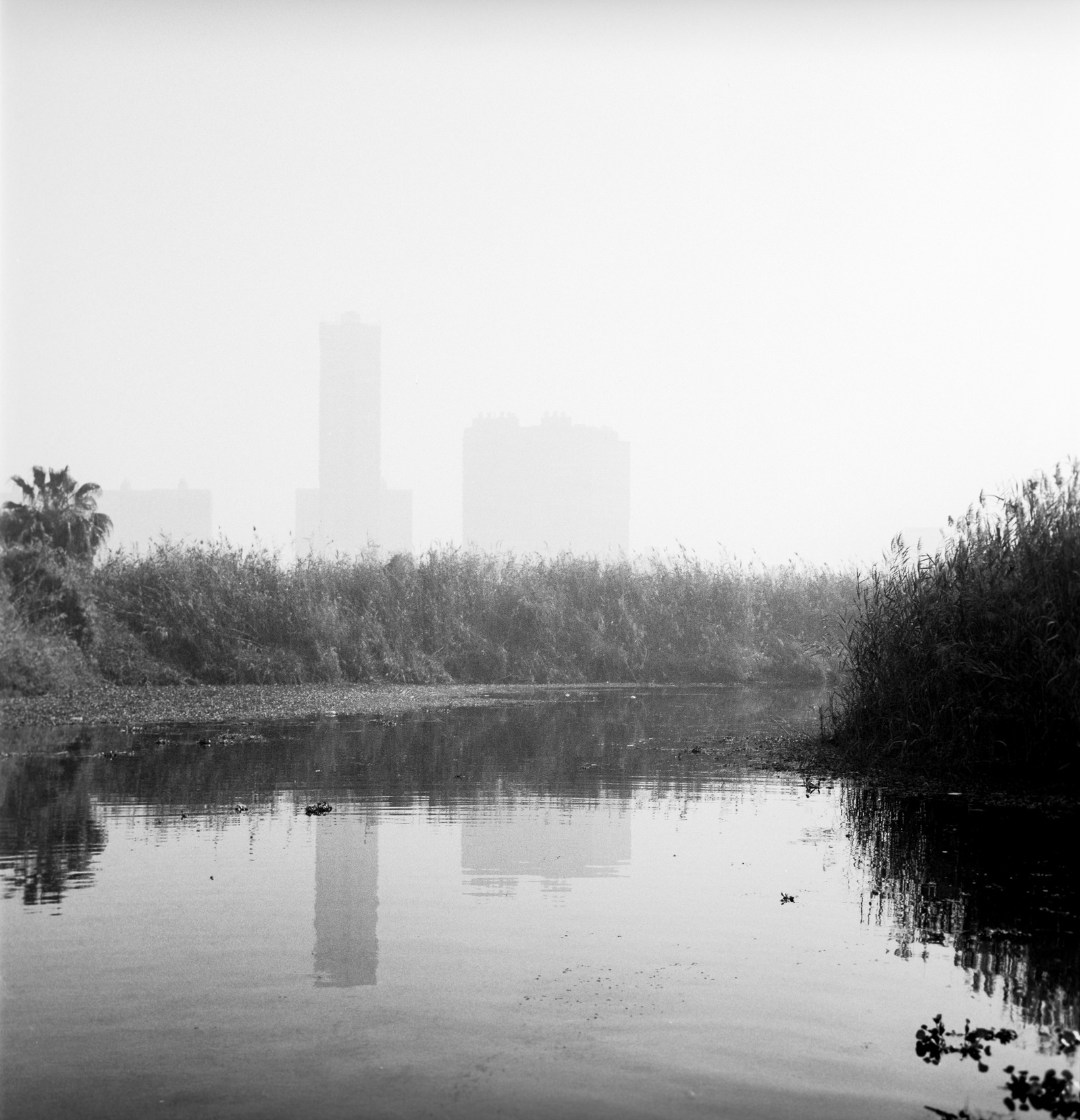 Early foggy morning on the Nile in Cairo, Egypt