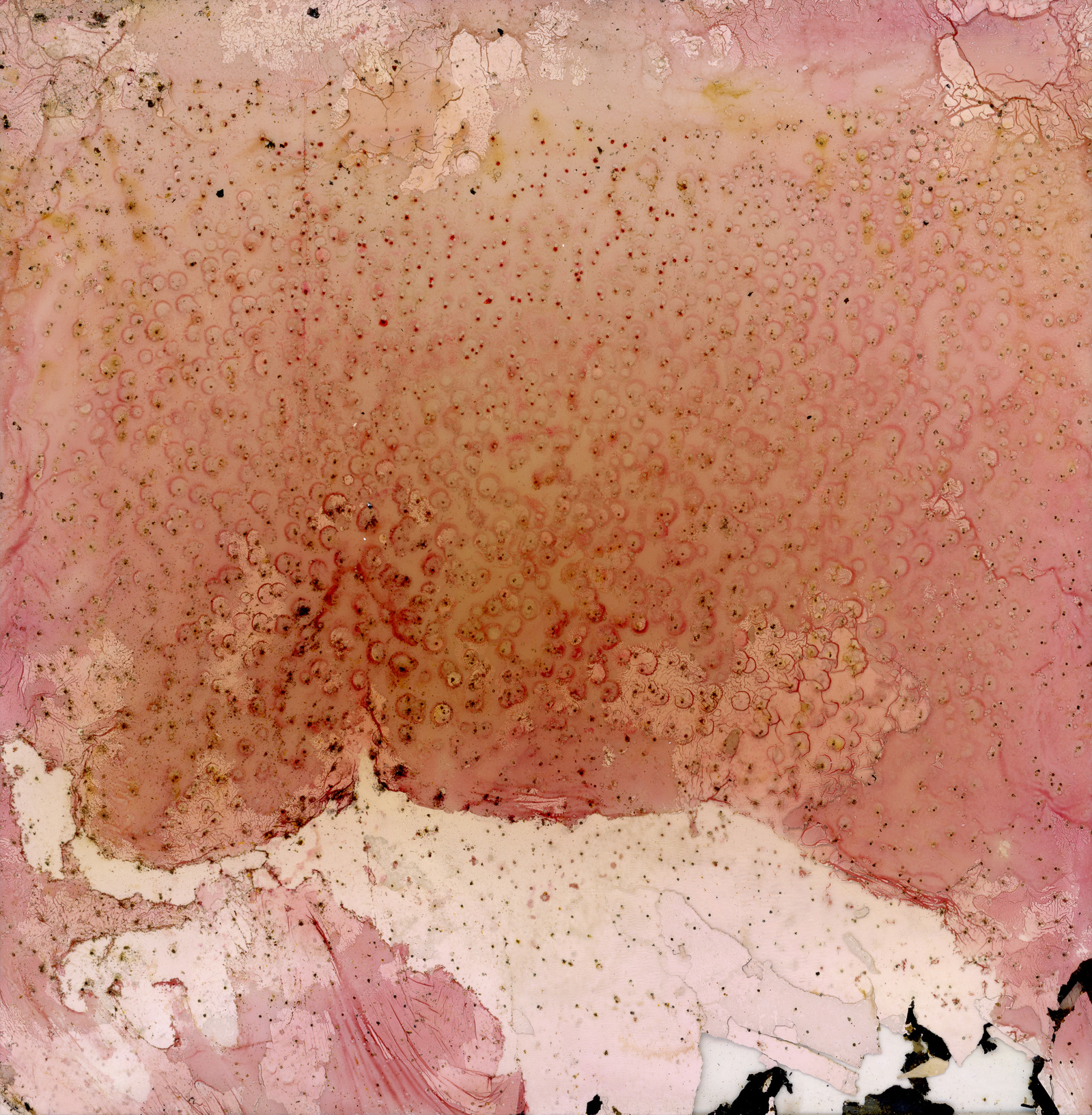 Self Portrait as the Mediterranean Sea