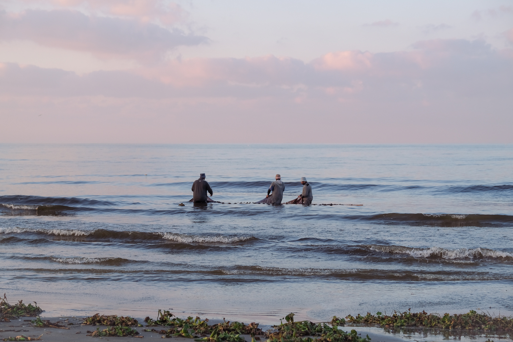 A group of fishermen in Port Said, Egypt, collect their nets at sunset and prepare to discover the day’s fortunes. The light creates a dreamy atmosphere — an illusion quickly broken as the men emerge on the beach with nearly empty nets.
Washed-up clumps
