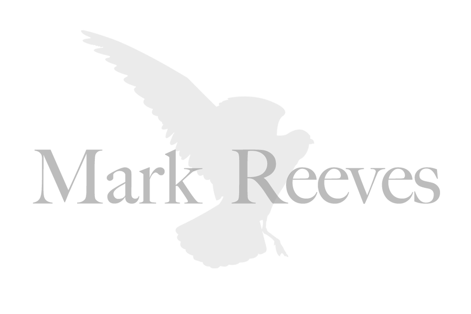 Mark Reeves Photography