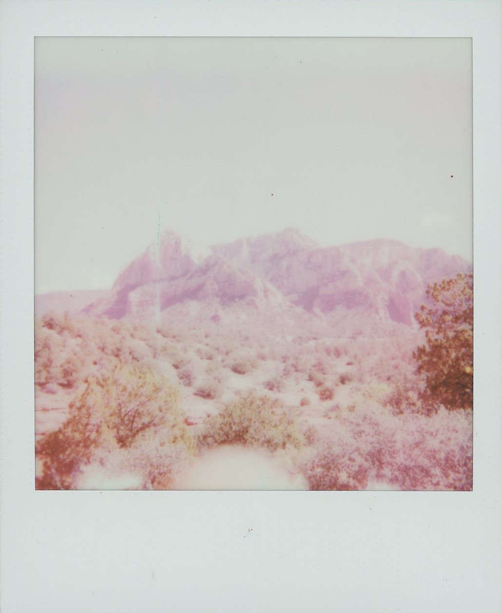 Arizona Landscape Photography Shot on Polariod