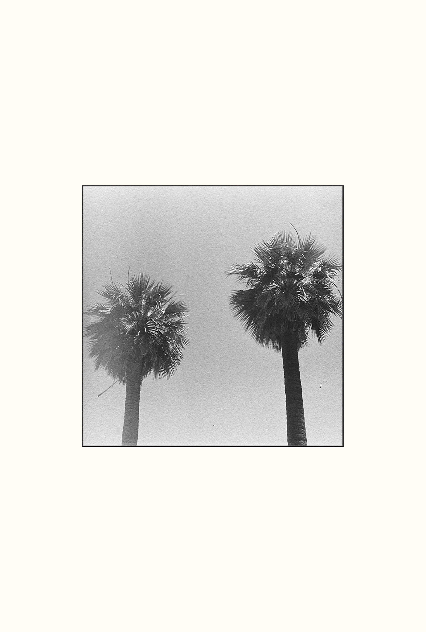 Arizona Landscape Photography Shot on 35mm Film