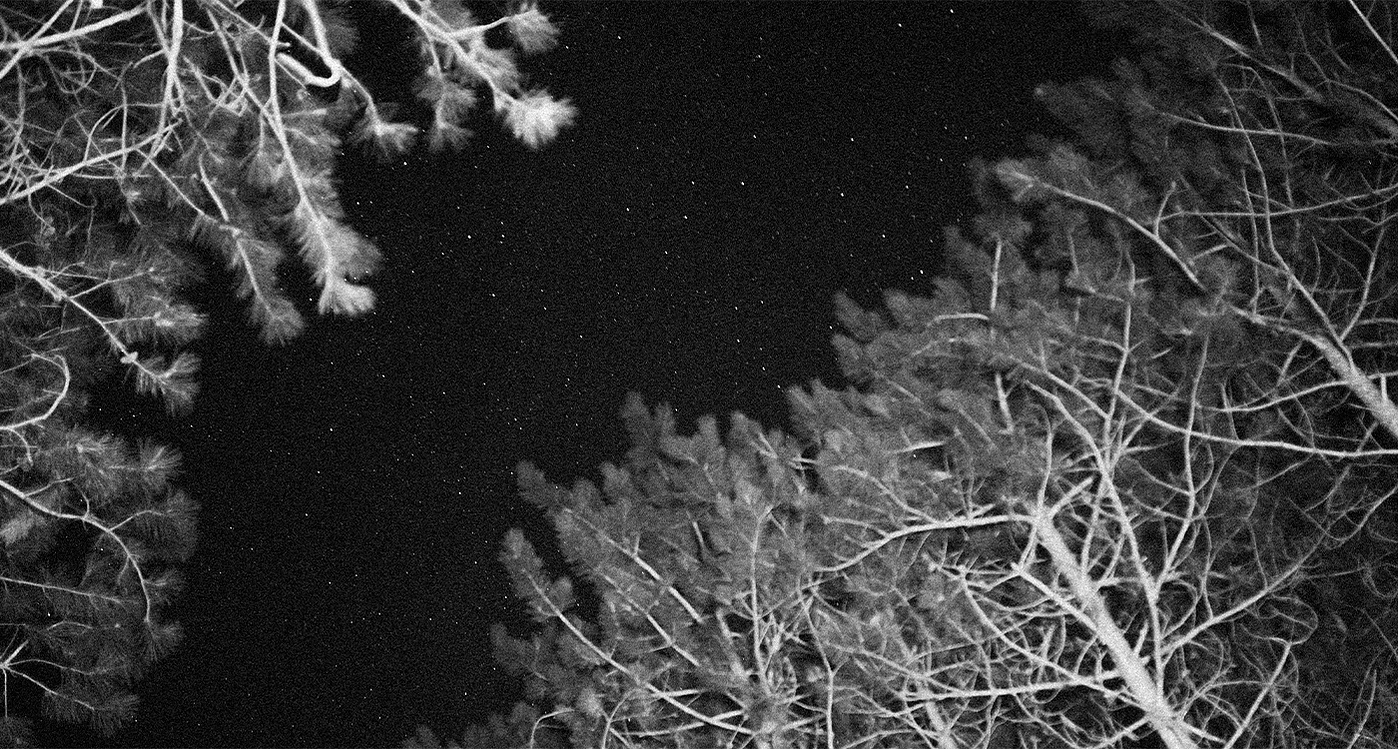 Wisconsin Landscape Photography Shot on Canon Digital