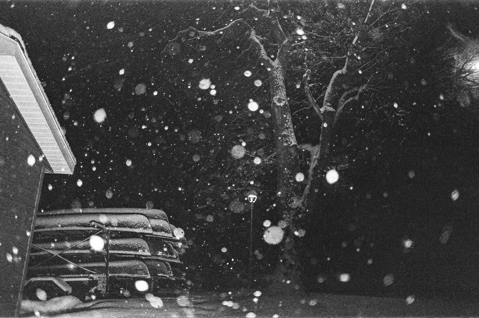 Wisconsin Landscape Photography Shot on 35mm Film Photography