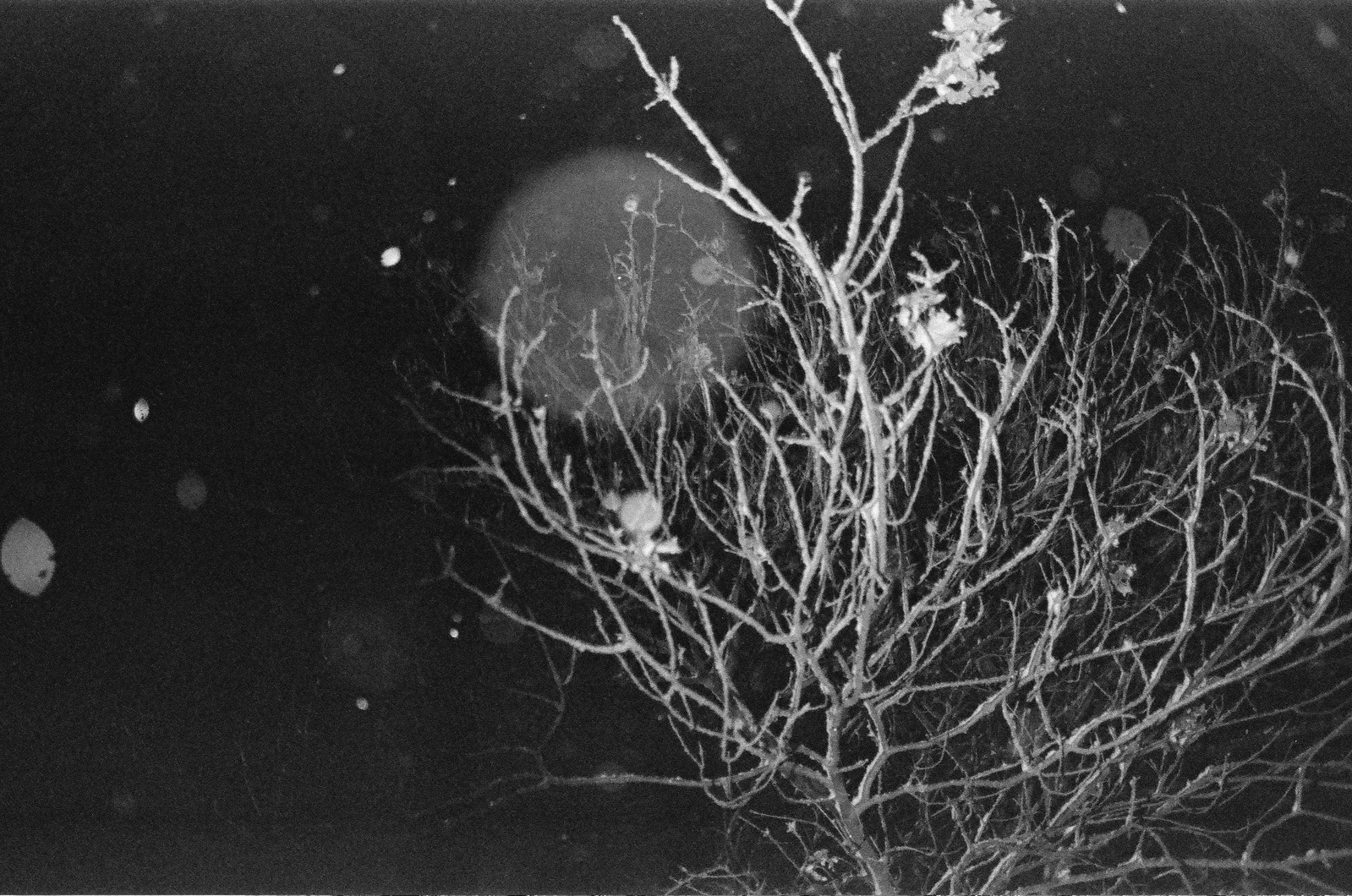 Wisconsin Landscape Photography Shot on 35mm Film Photography