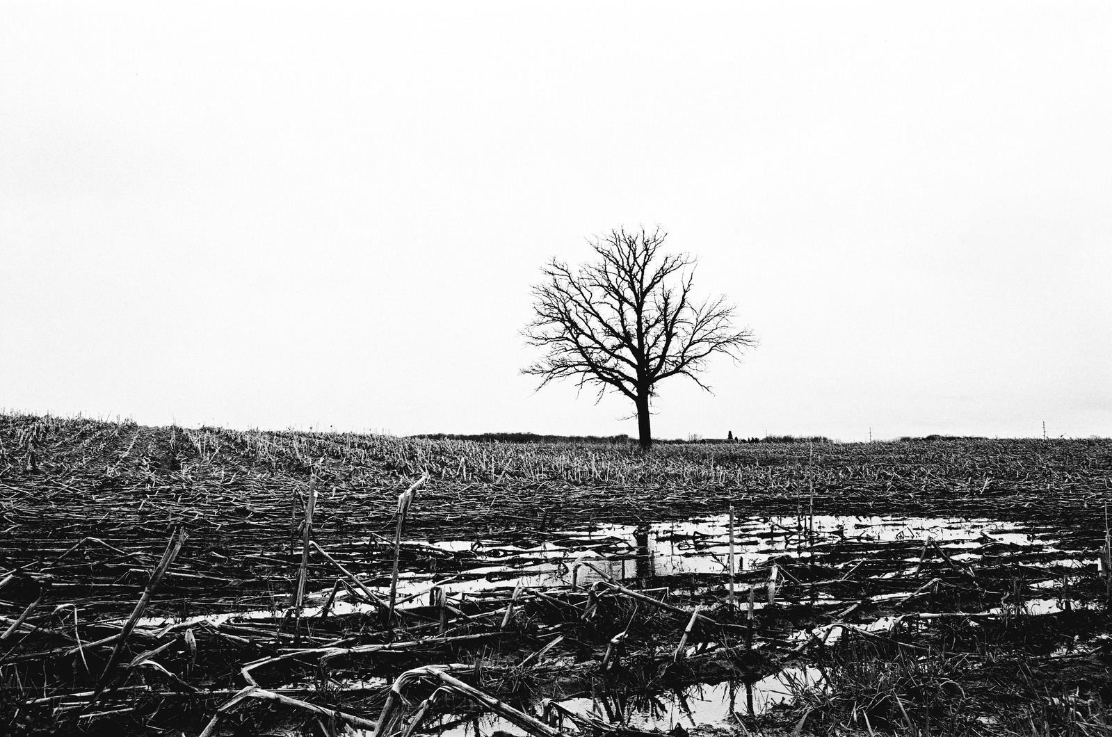 Wisconsin Landscape Photography Shot on 35mm Film Photography