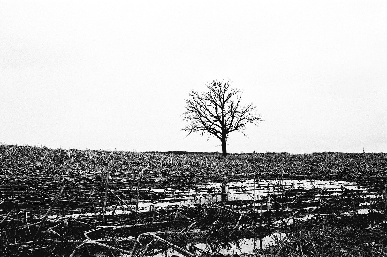 Wisconsin Landscape Photography Shot on 35mm Film Photography