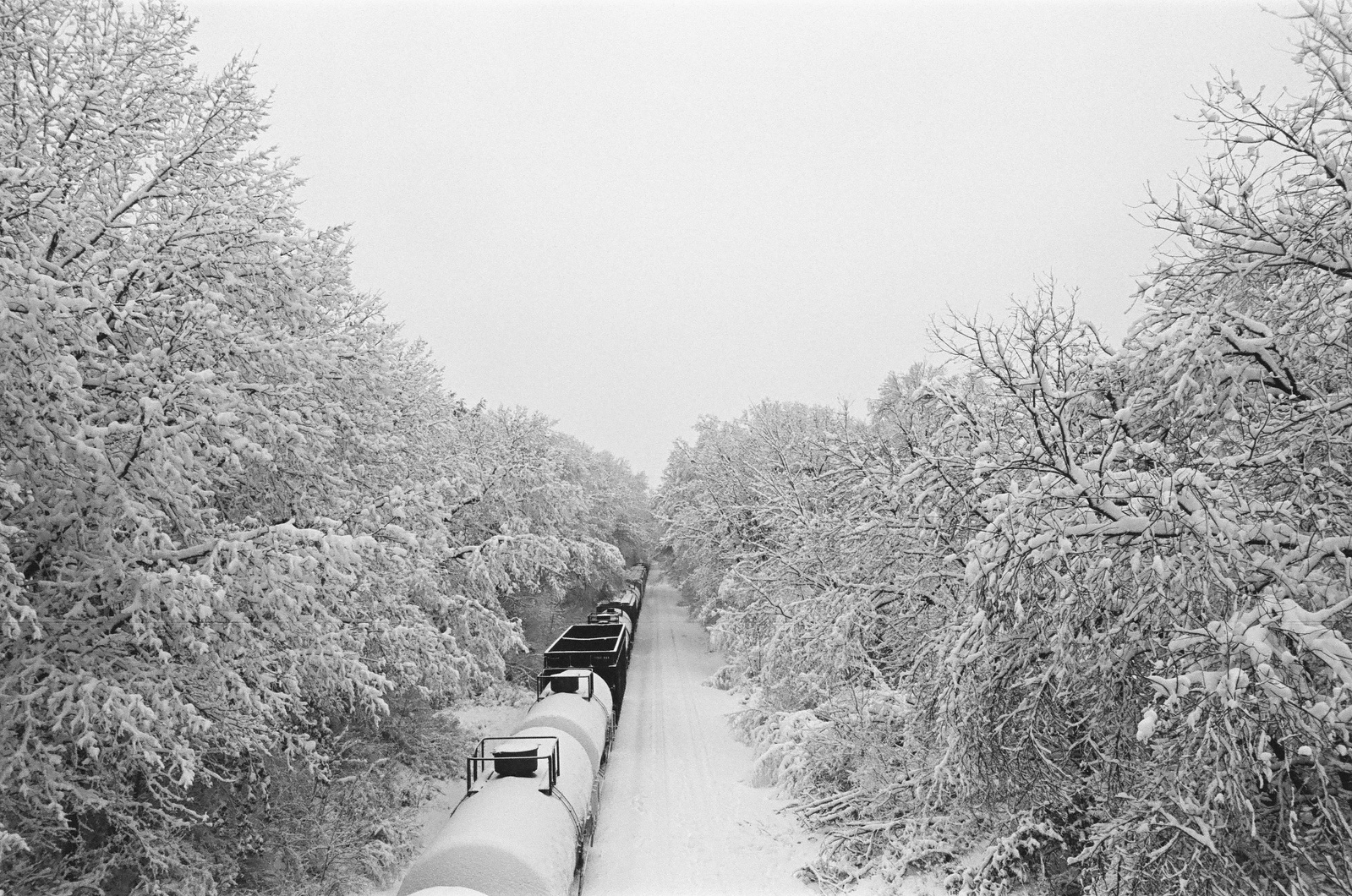 Wisconsin Landscape Photography Shot on 35mm Film Photography