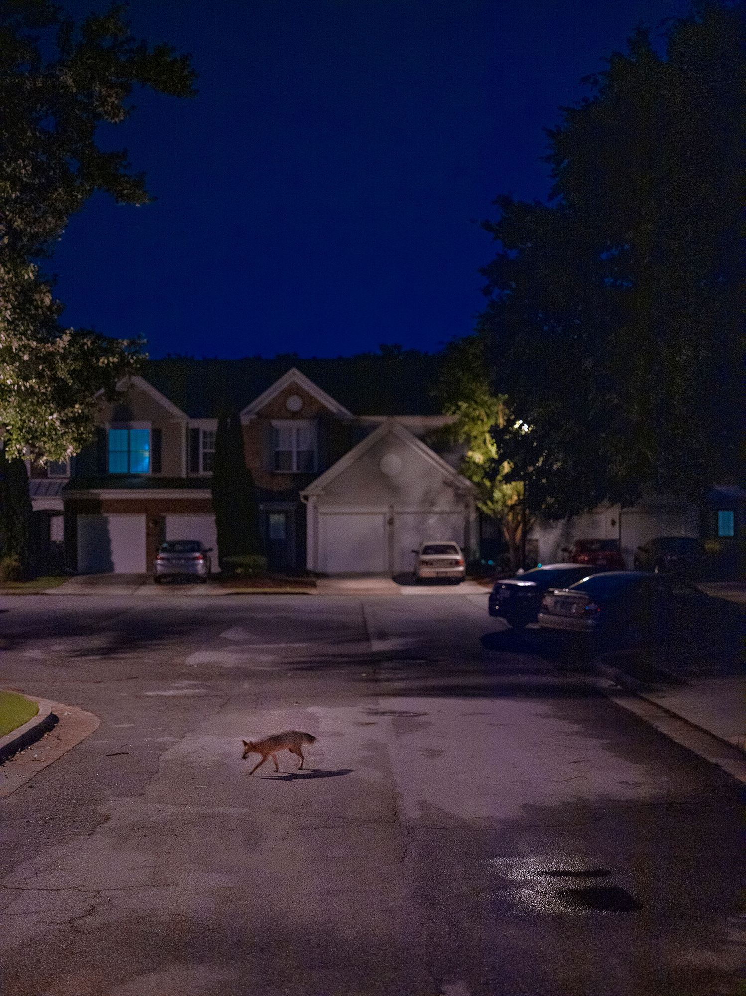 JinwooHwonLee, WeMeetinThePastTense, 이훤, 우리는과거형으로만난다, SurrealReality