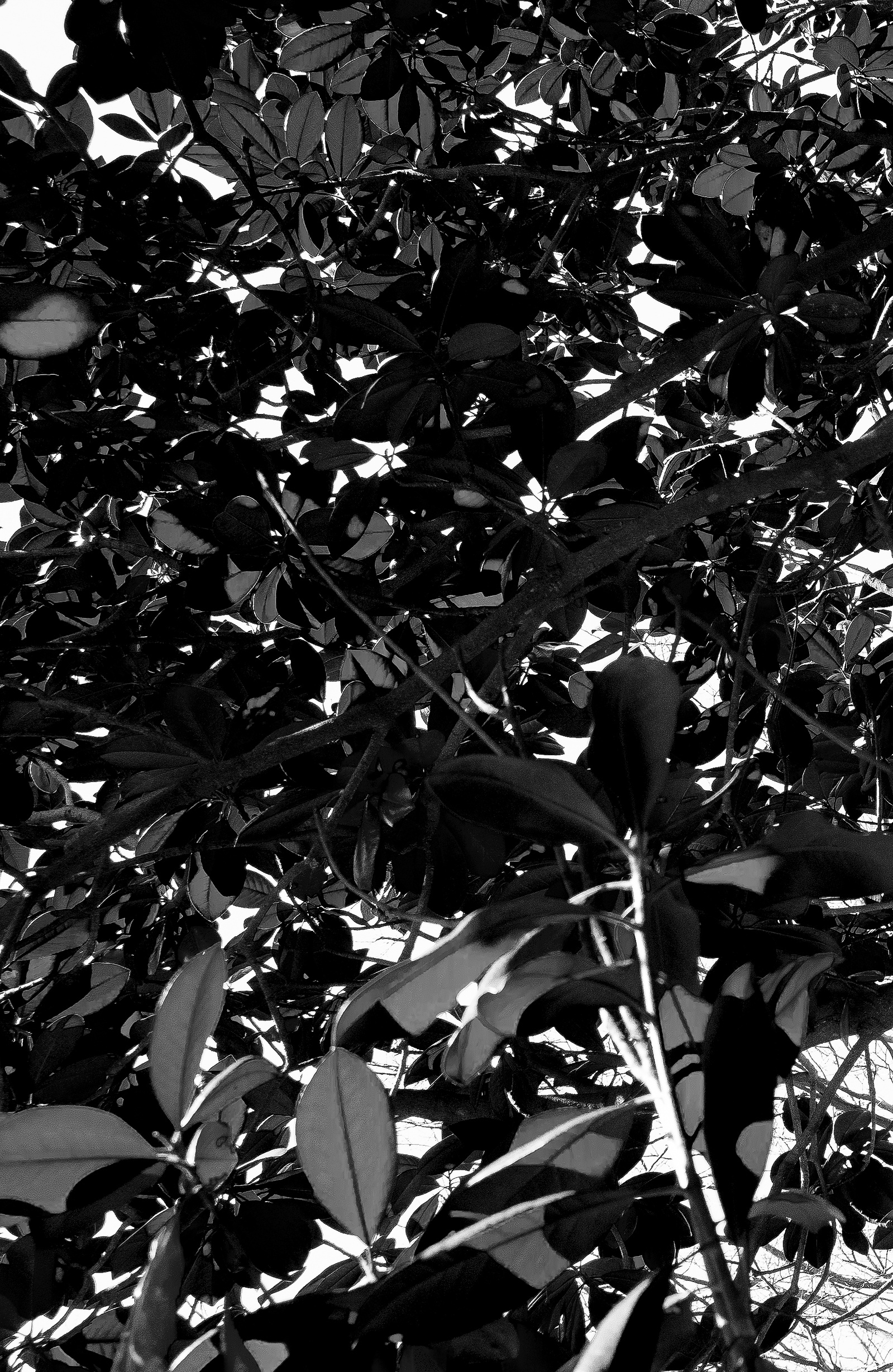 HumanTextures, JinwooHwon Lee, Photographer, Poet, BlackandWhitePhotography, 사람의질감, 이훤, 시인, 사진가,흑백사진