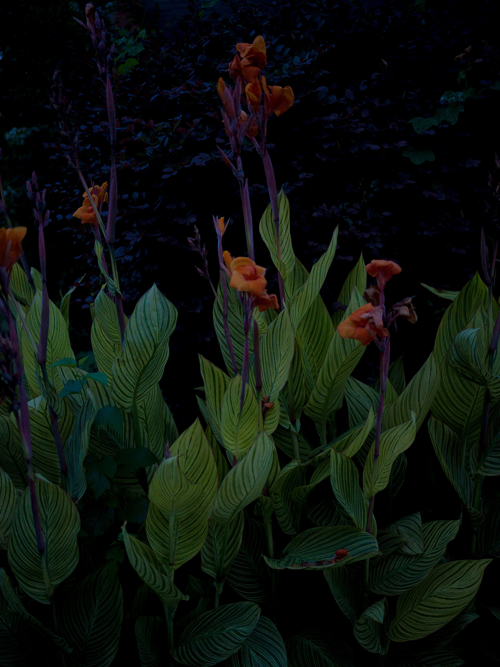 HumanTextures, JinwooHwon Lee, Photographer, Poet, 사람의질감, 이훤, 시인, 사진가