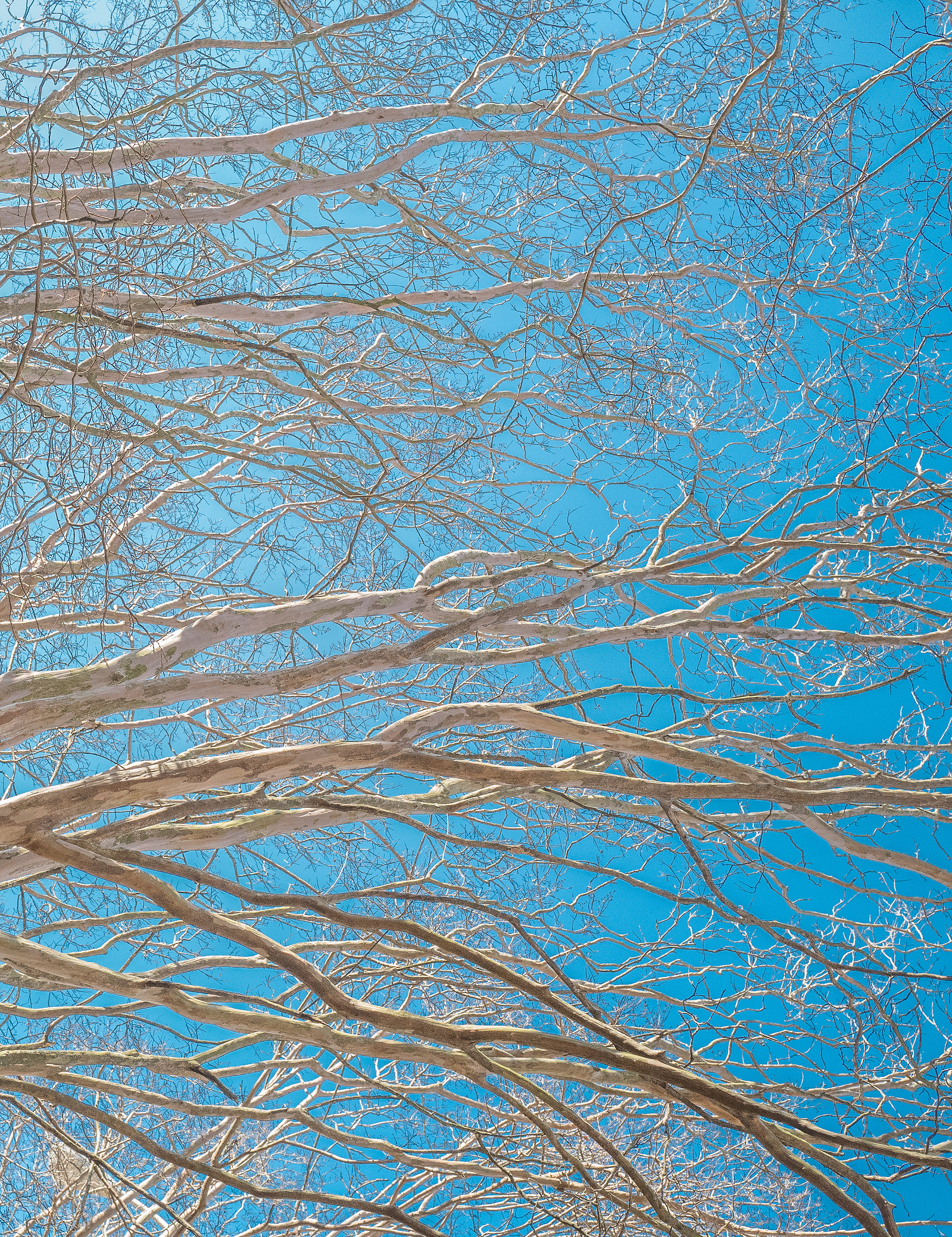 HumanTextures, JinwooHwon Lee, Photographer, Poet, 사람의질감, 이훤, 시인, 사진가