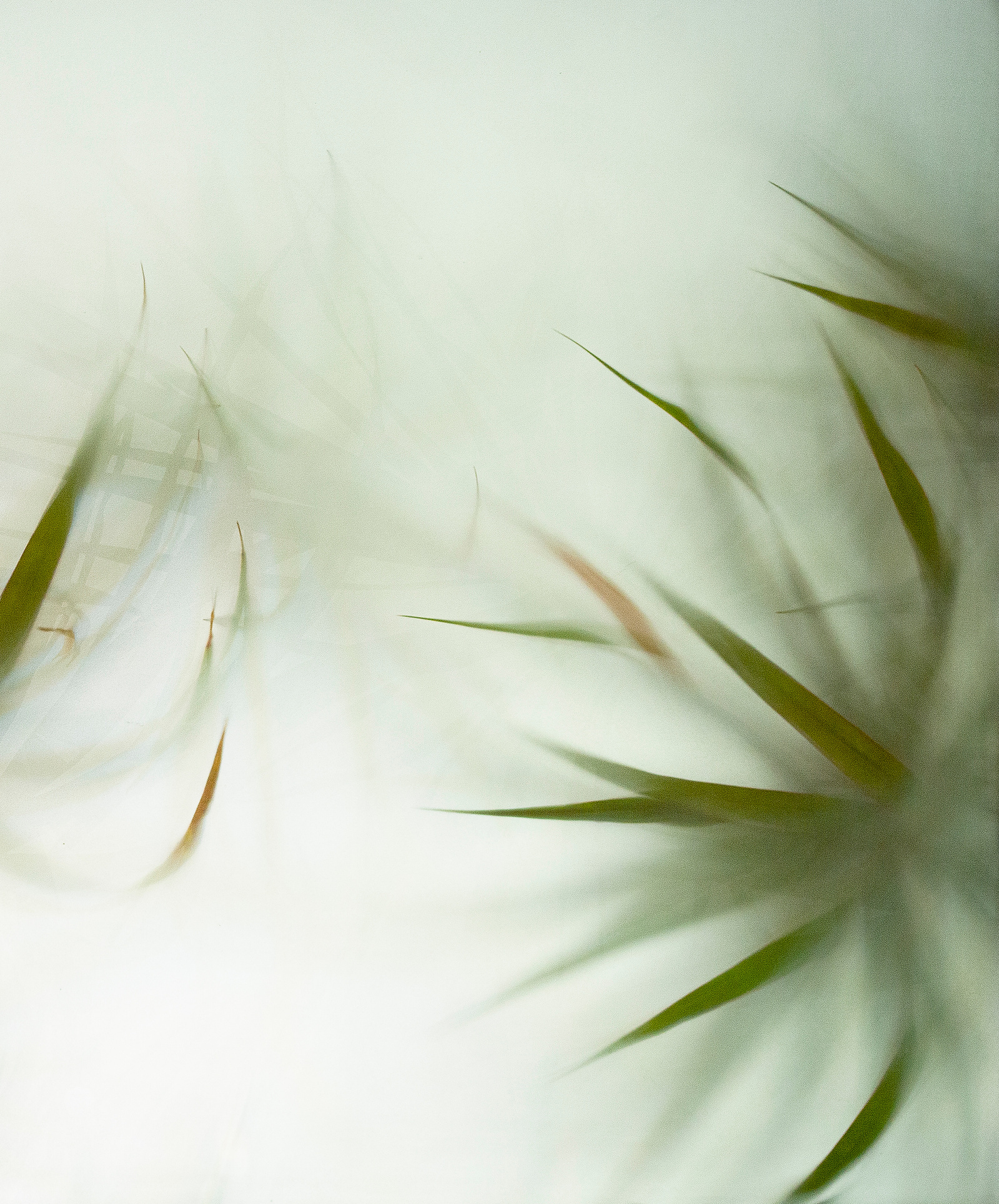 HumanTextures, JinwooHwon Lee, Photographer, Poet, 사람의질감, 이훤, 시인, 사진가