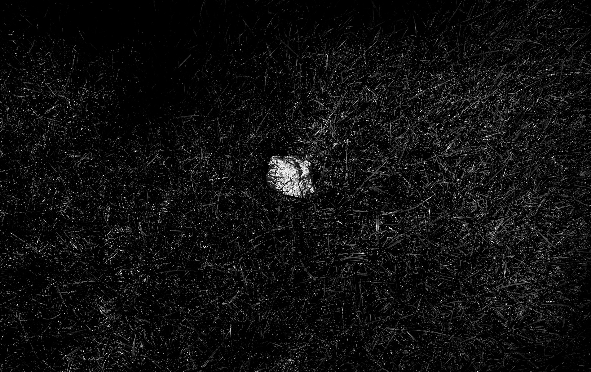 HumanTextures, JinwooHwon Lee, Photographer, Poet, BlackandWhitePhotography, 사람의질감, 이훤, 시인, 사진가,흑백사진