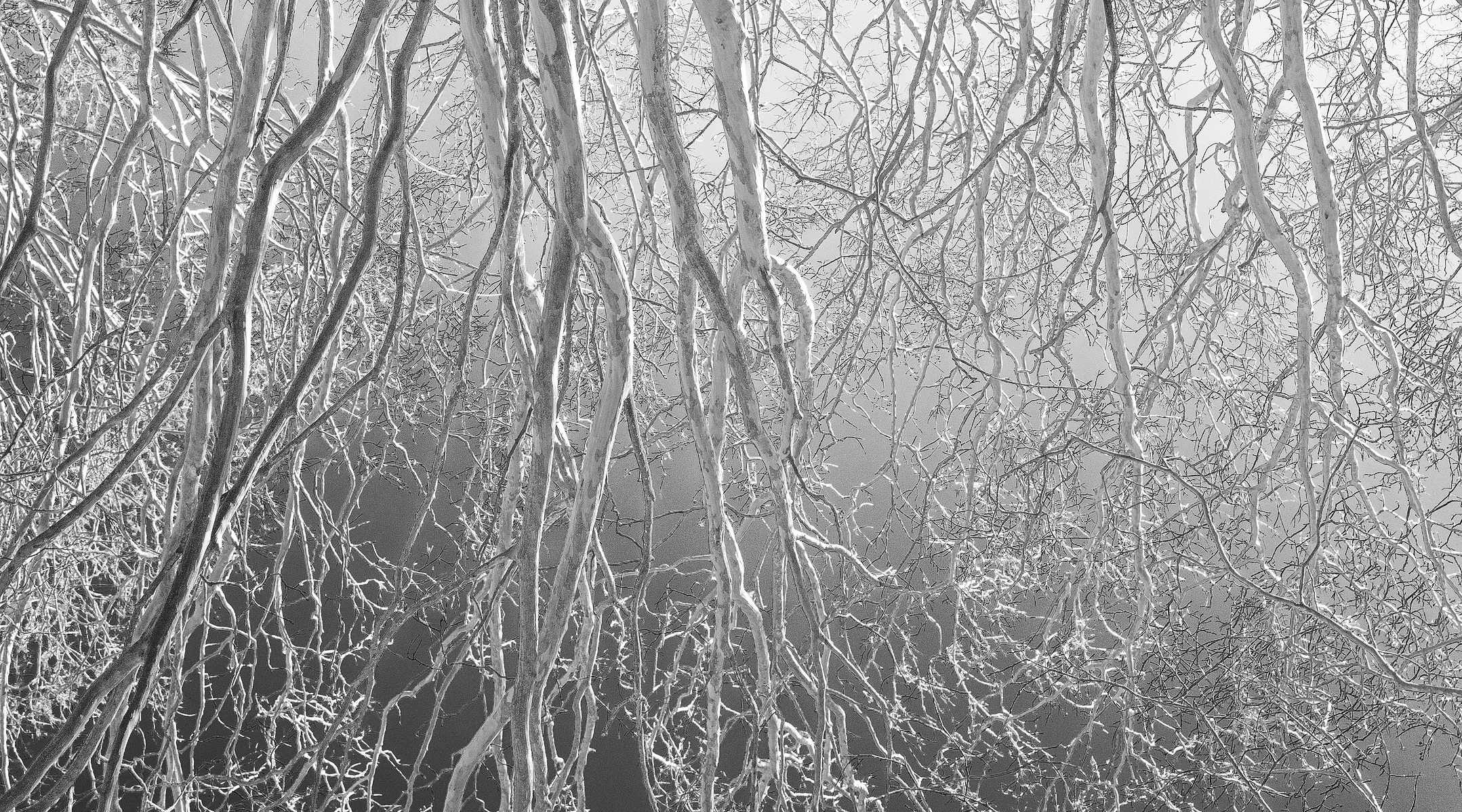 HumanTextures, JinwooHwon Lee, Photographer, Poet, BlackandWhitePhotography, 사람의질감, 이훤, 시인, 사진가,흑백사진