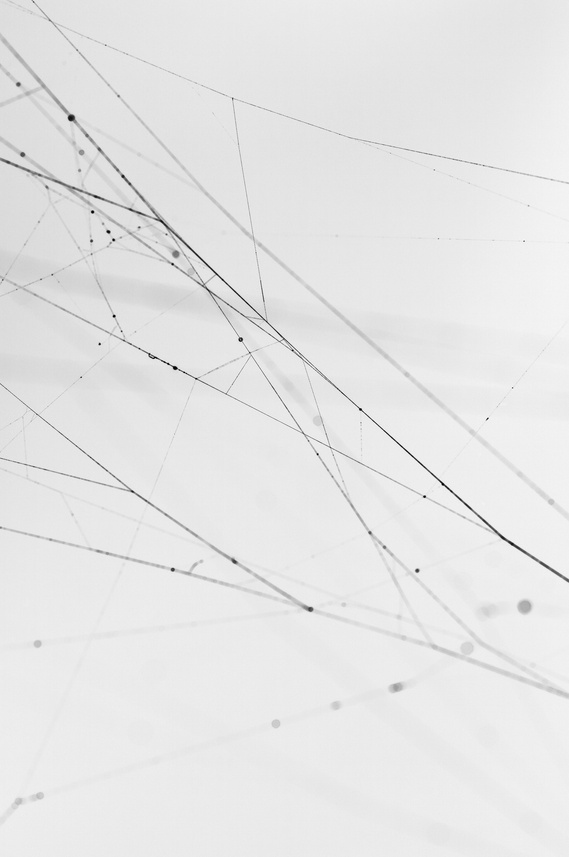 Abstract fine art photography of spider webs by artist Laura Resen