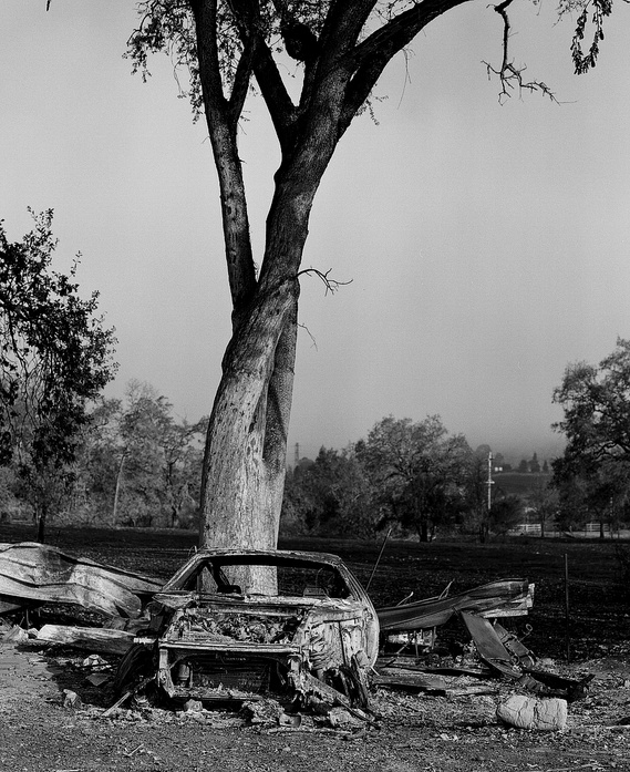 Fine art black and white photo of a burnt out car in front of a tree from the Sonoma Napa Tubbs fires - shot by artist Laura Resen
