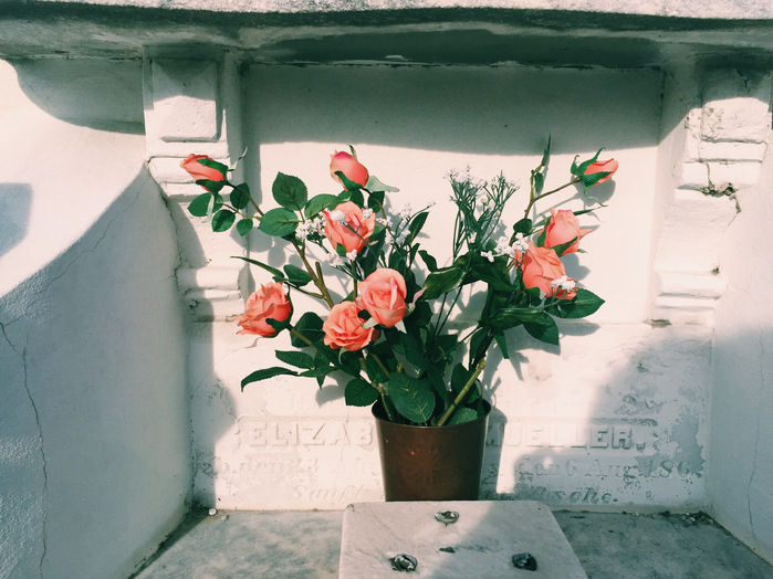 VSCO
Portrait
35mm
film
photography