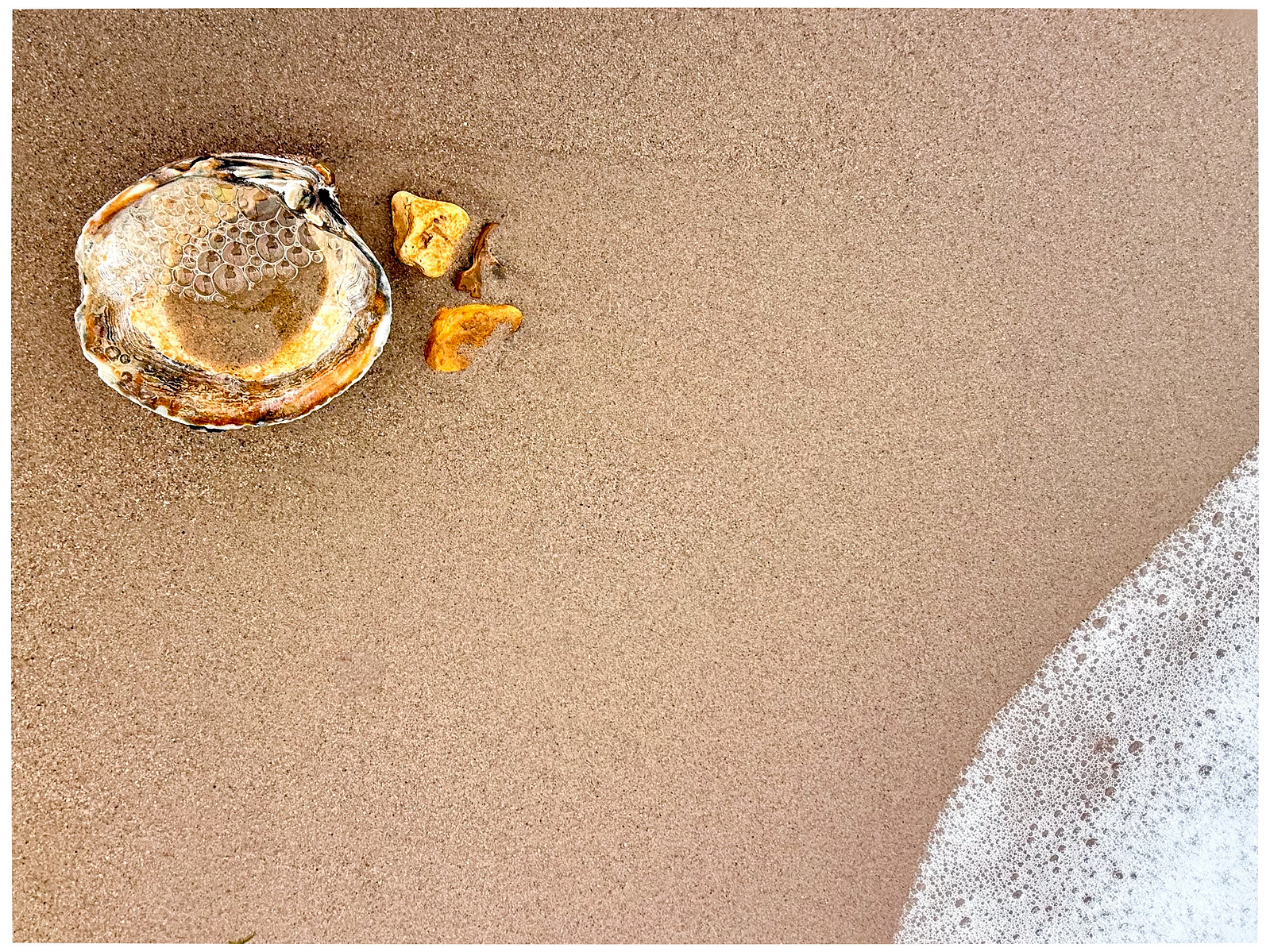 Sea shell with bubbles inside, in the top left third, sea foam in the bottom right third