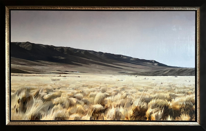 dry grass landscape