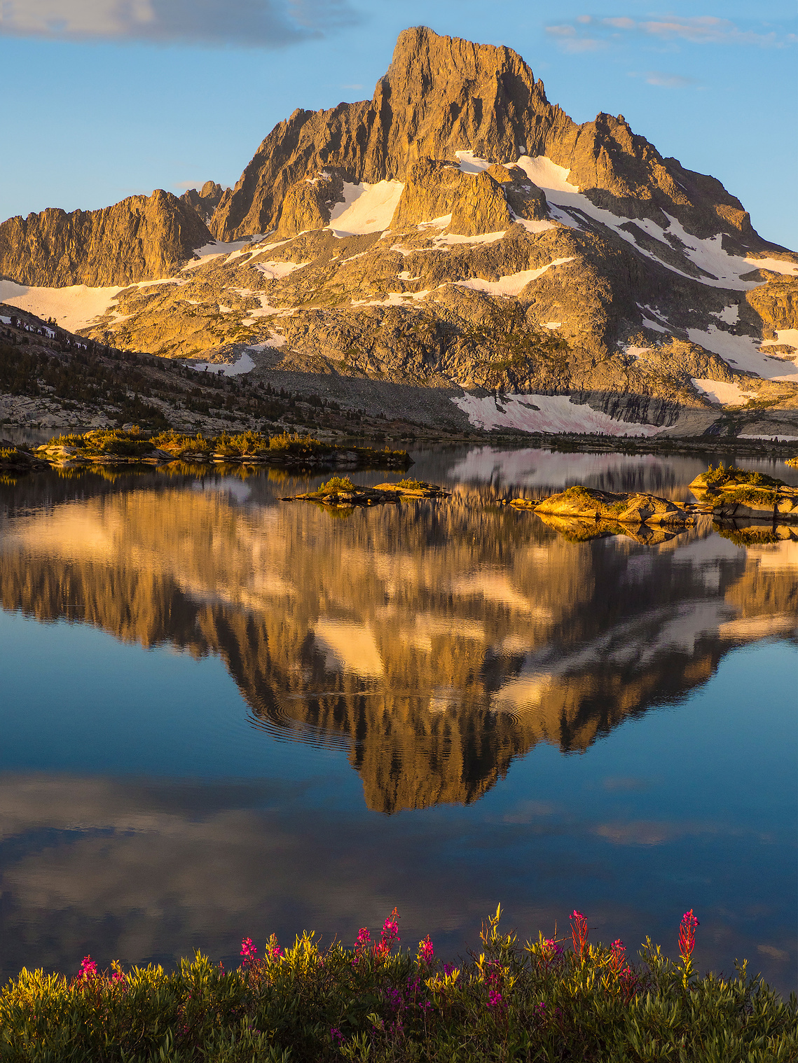 Dawn got on wildflowers, Mount Banner and  Thousand Island Lake, Sierra Nevada