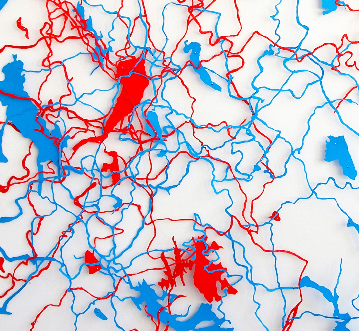 Close up detail of Body of Water, contemporary art byTasmanian artist Diane Allison, Hallison Studios.Tasmanian rivers & waterways in cut paper of blue and red on white background. Suggestive of body's circulatory system. Finalist Glover Art Prize.