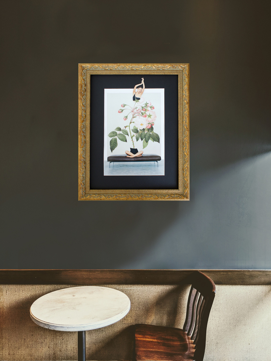 Collage of a woman, cross legged with a pink rose plant for her body, thorns for her spine, by artist Diane Allison of HALLISON Studios, Tasmania, entitled Rise Above, framed in an ornate gold frame. It is shown in-situ on a dark interior wall.