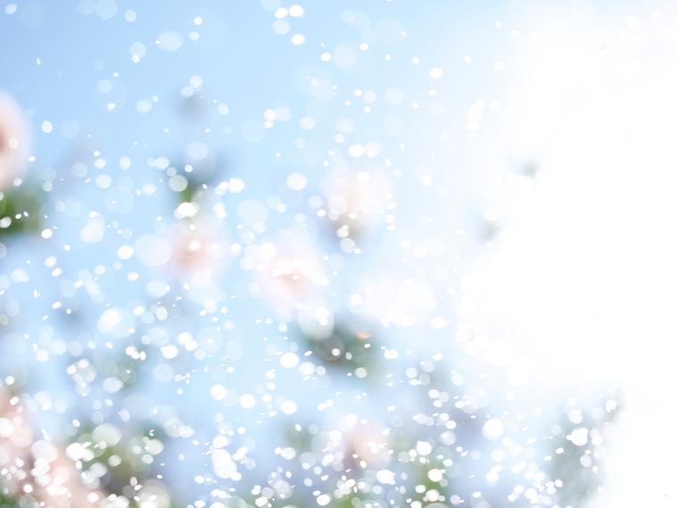 Fine art pigment print by Di Allison, HALLISON Studios, Tasmania, online gallery shop, Shine #1. Colours of white, pink, green and blue, abstract in style. Soft, bokeh of sunshine, rain and flower petals - bottle brush, Callistemon.