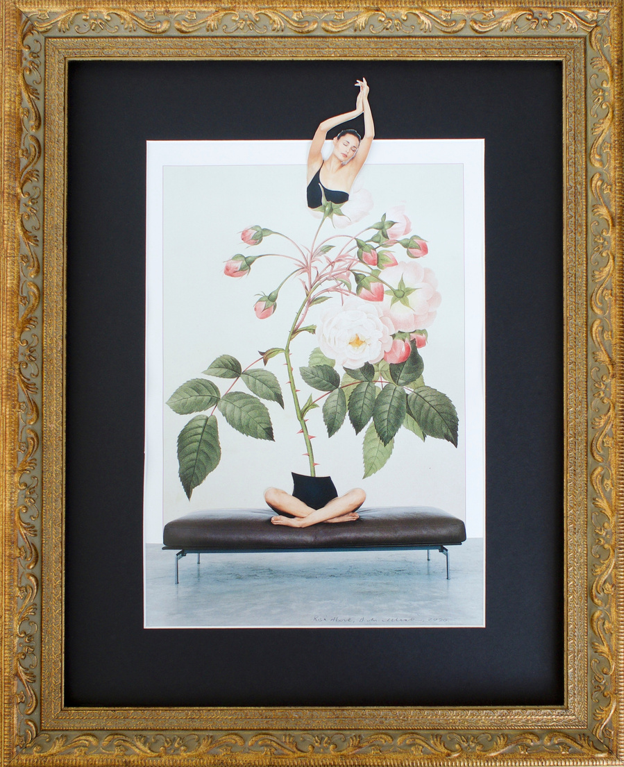 Collage of a woman, cross legged with a pink rose plant for her body, thorns for her spine, by artist Diane Allison of HALLISON Studios, Tasmania, entitled Rise Above in an ornate gold frame.