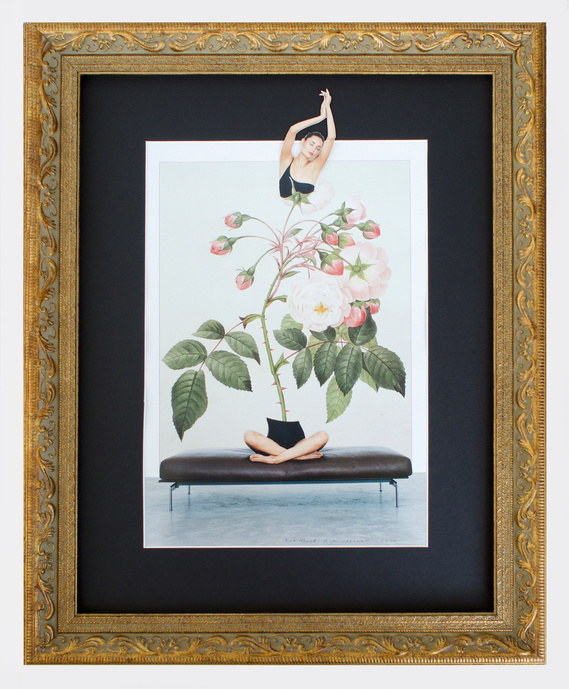 Contemporary collage by Di Allison, HALLISON Studios, Tasmania in ornate gold frame.  Rise Above is a seated woman, cross legged on a bench seat. Stretching in a yoga pose, relaxed, eyes closed, her spine and body replaced with a thorny pink rose bush.