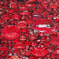 Close up photo of large contemporary art collage entitled Gloss by Tasmanian visual artist Diane Allison of HALLISON Studios featuring hundreds of red pouting lips from magazines against a black ground.