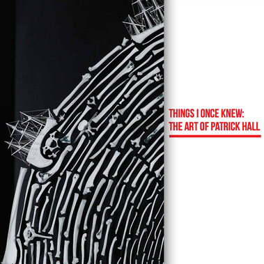 Artist Patrick Hall of HALLISON Studios survey show Things I Once Knew exhibition catalogue, Tasmanian Museum and Art Gallery, with forward by David Walsh, MONA cover features Historical Record artwork of sailing ships and a sea made from white bones. 